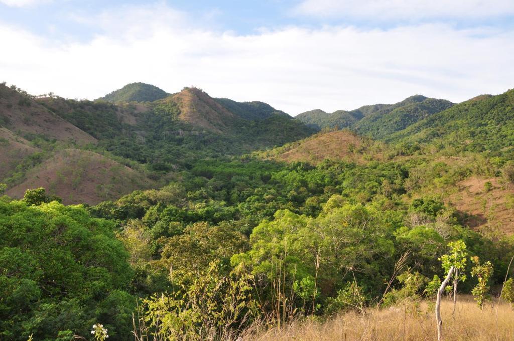 Busuanga Island Paradise Exteriér fotografie